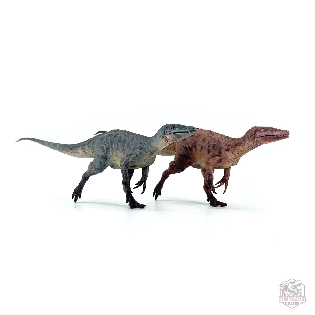 Haolonggood Megaraptor Dinosaur Figure