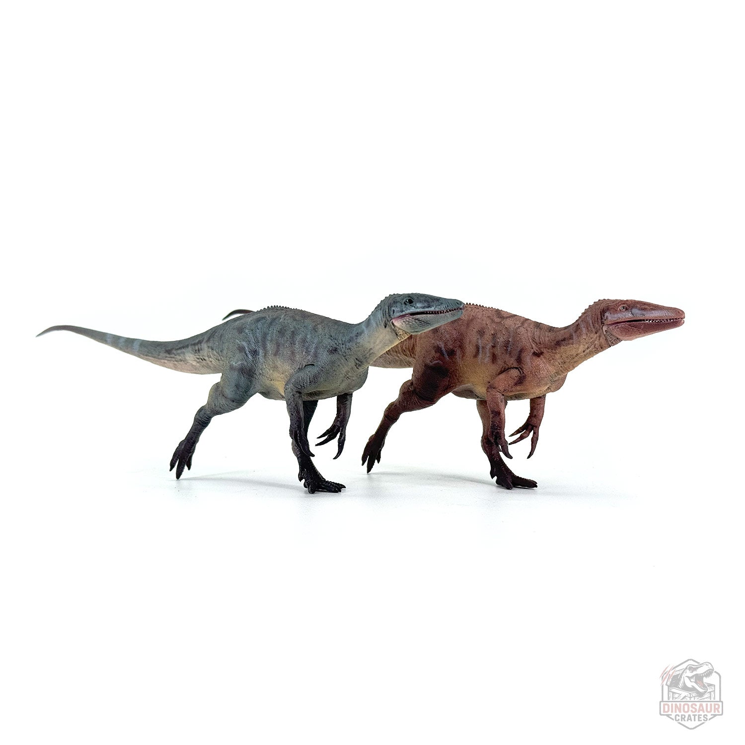 Haolonggood Megaraptor Dinosaur Figure