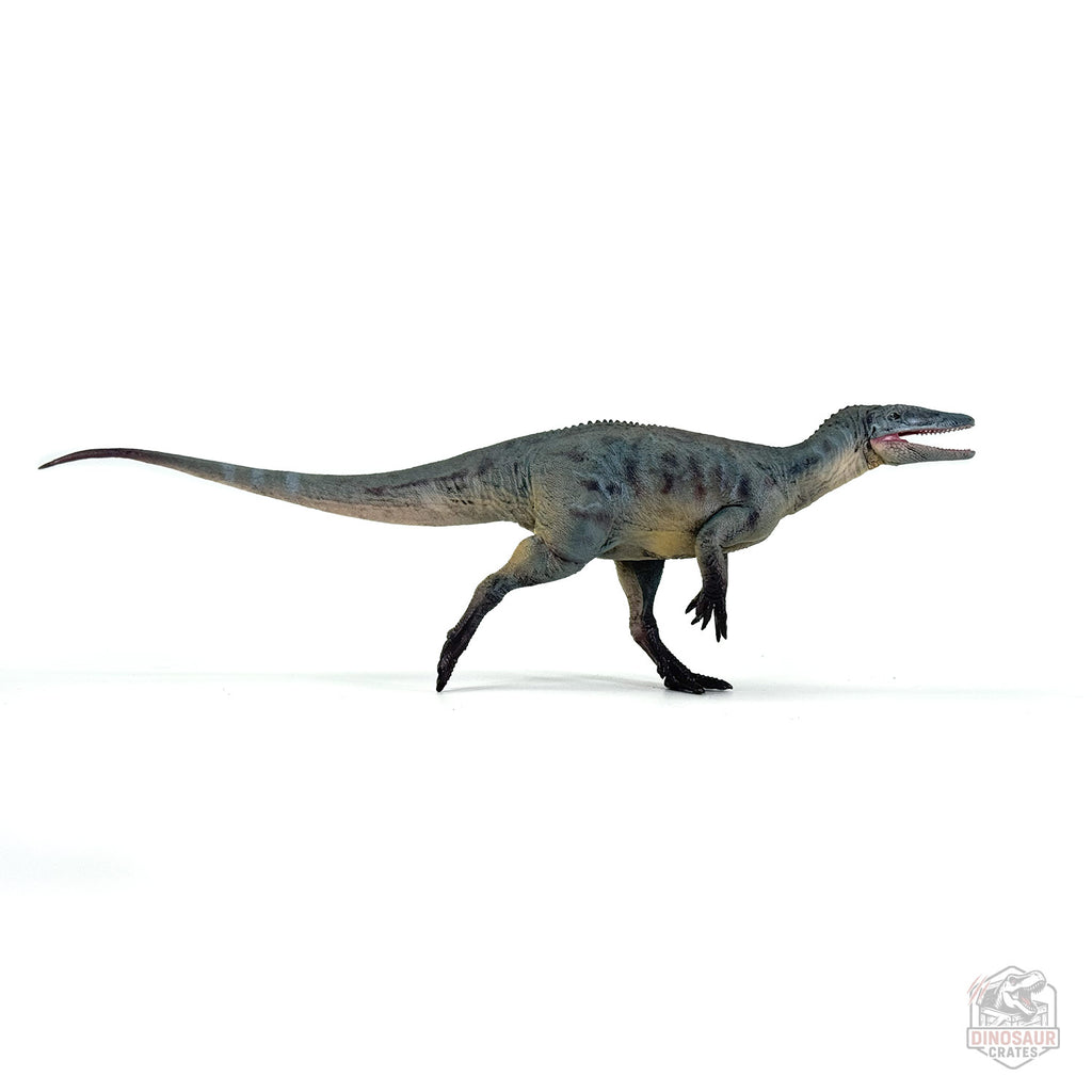 Haolonggood Megaraptor Dinosaur Figure