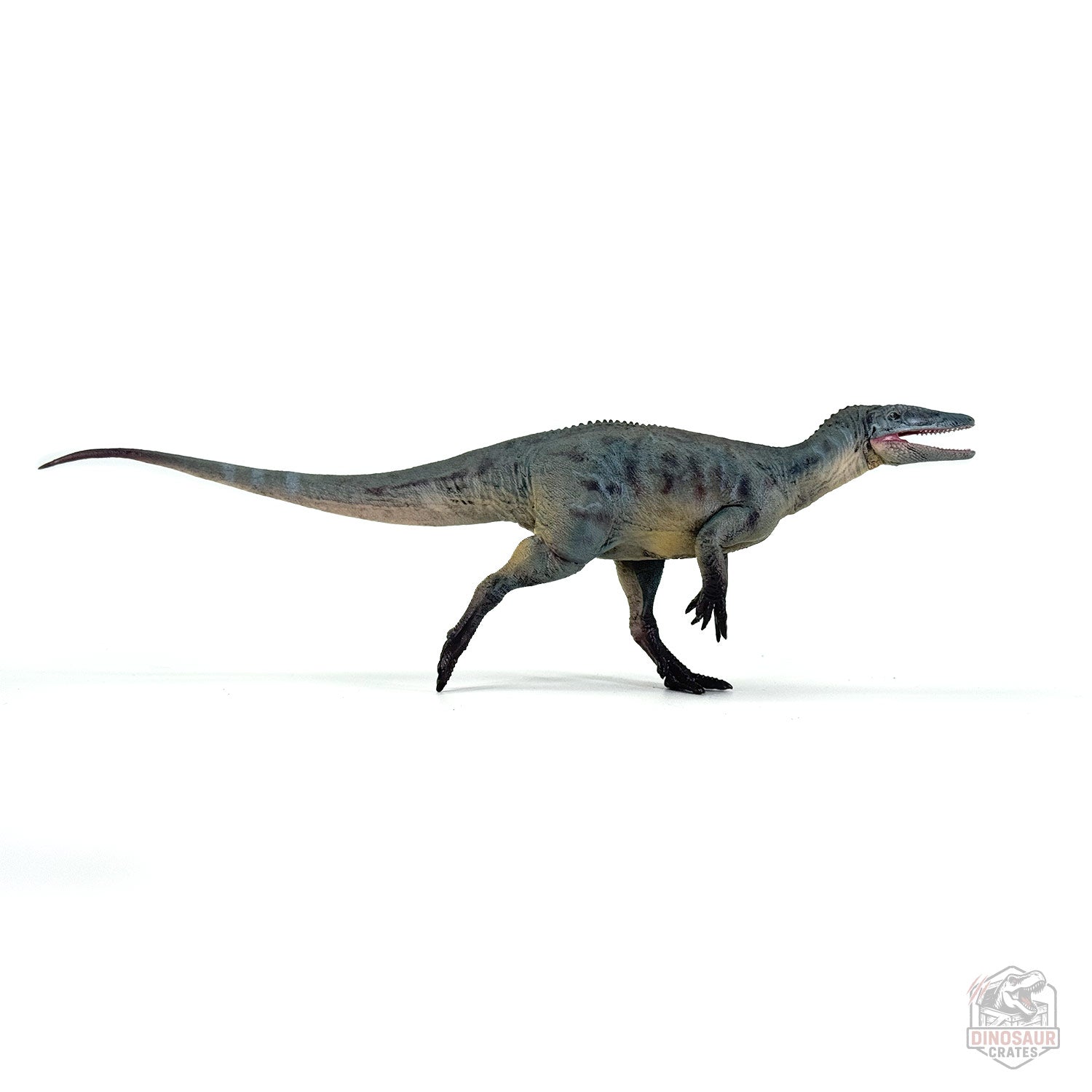 Haolonggood Megaraptor Dinosaur Figure