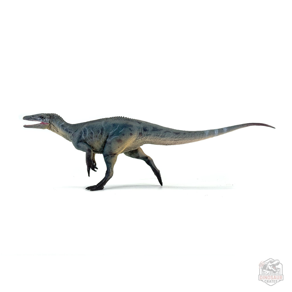 Haolonggood Megaraptor Dinosaur Figure