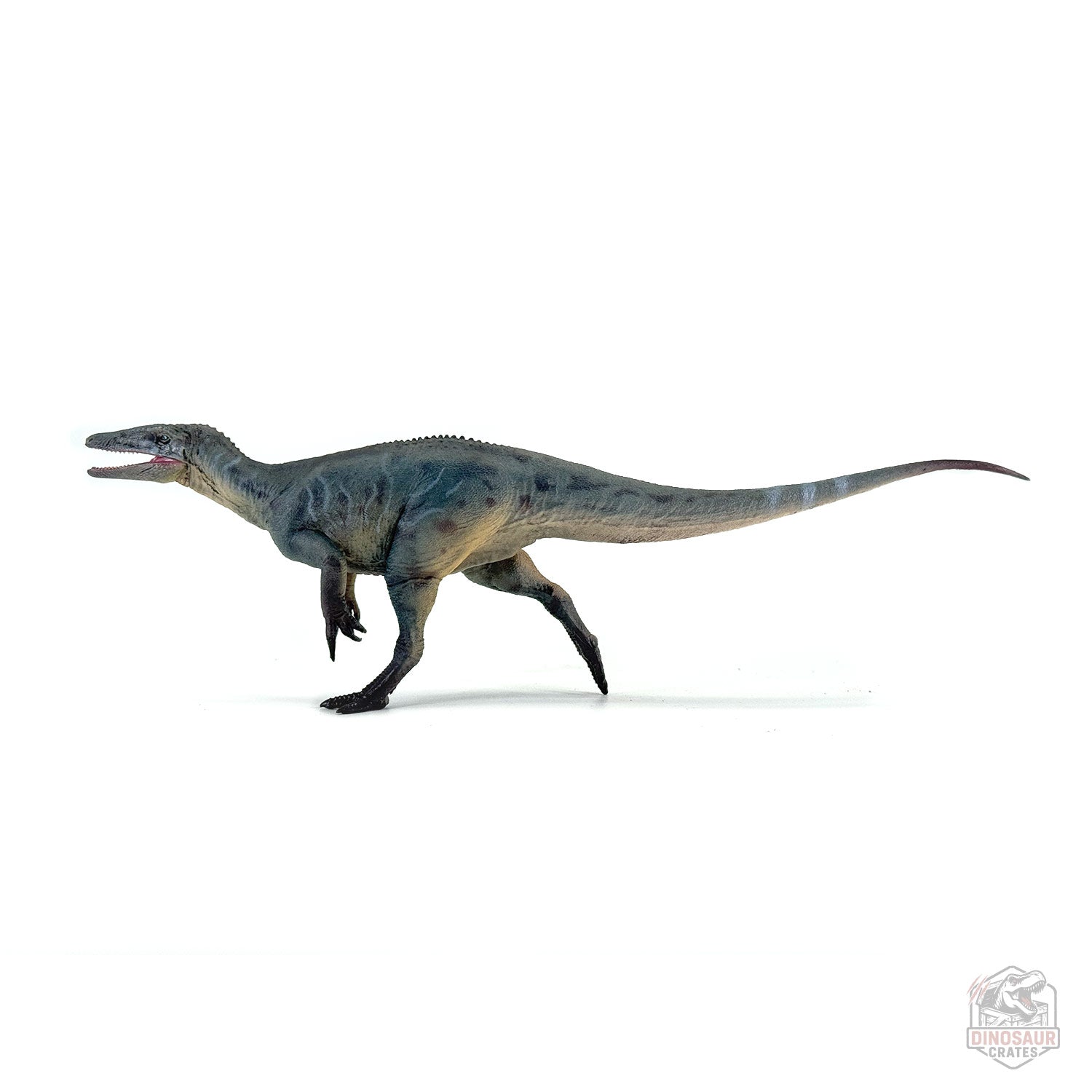 Haolonggood Megaraptor Dinosaur Figure