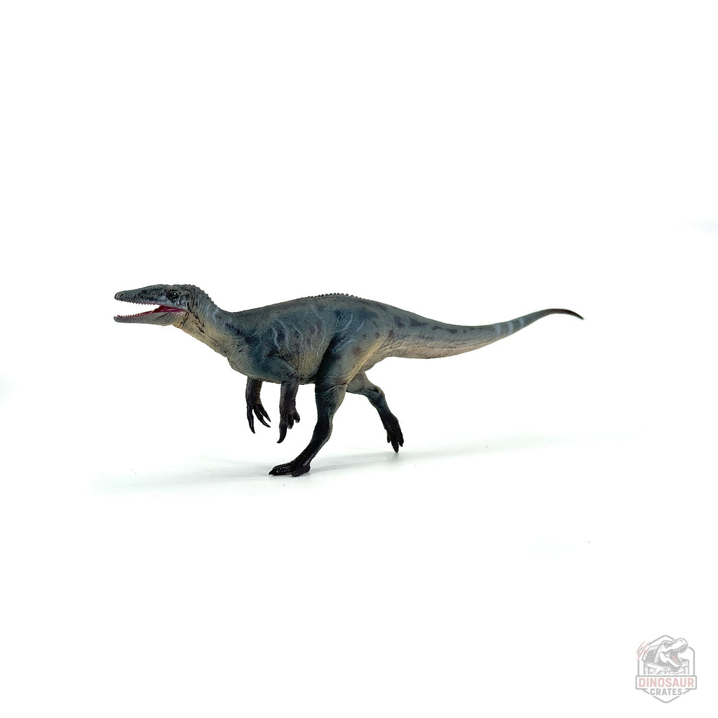 Haolonggood Megaraptor Dinosaur Figure