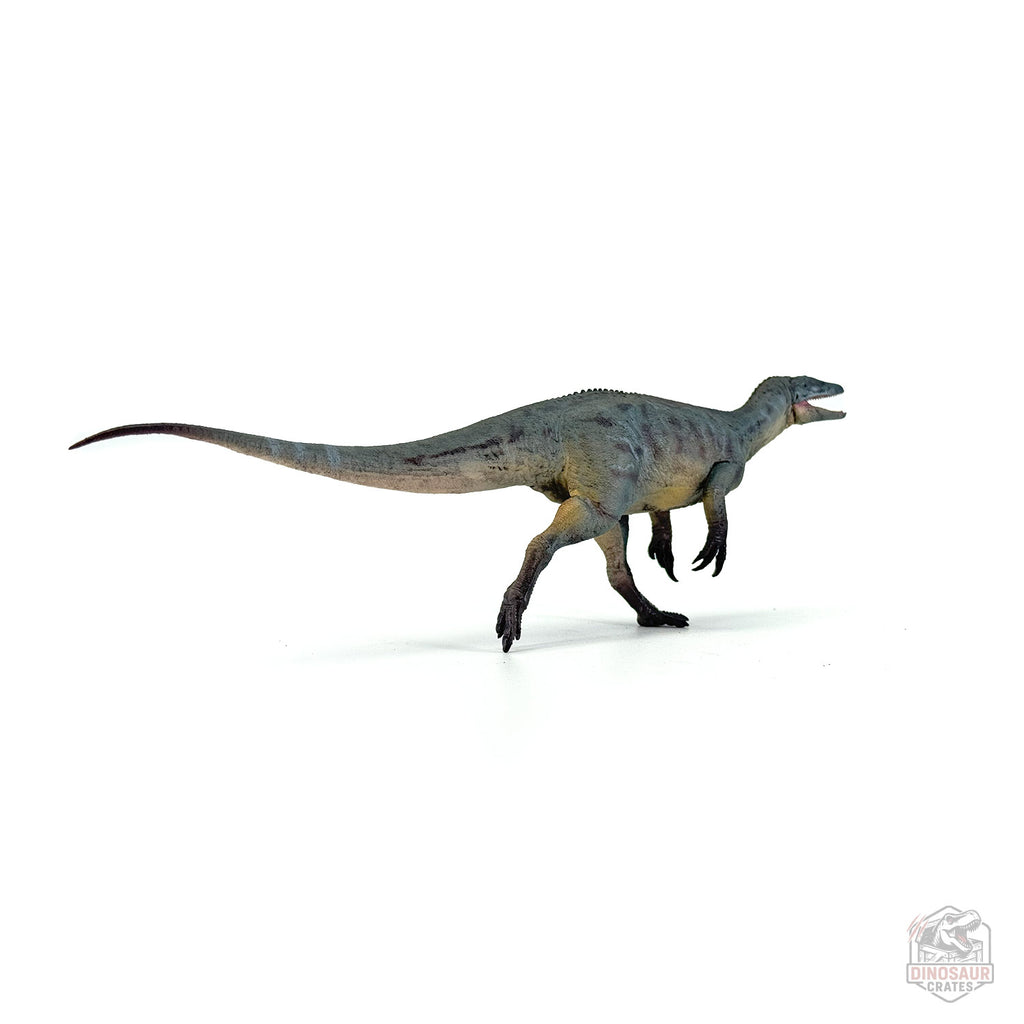 Haolonggood Megaraptor Dinosaur Figure