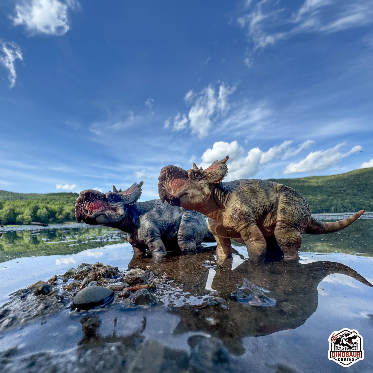Figurine de dinosaure Haolonggood Pachyrhinosaurus