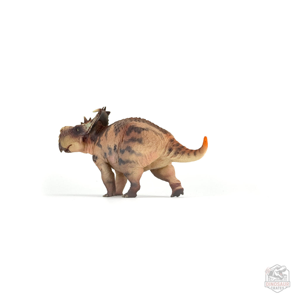 Figurine de dinosaure Haolonggood Pachyrhinosaurus