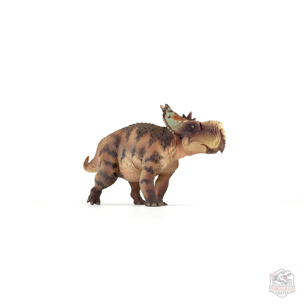 Figurine de dinosaure Haolonggood Pachyrhinosaurus