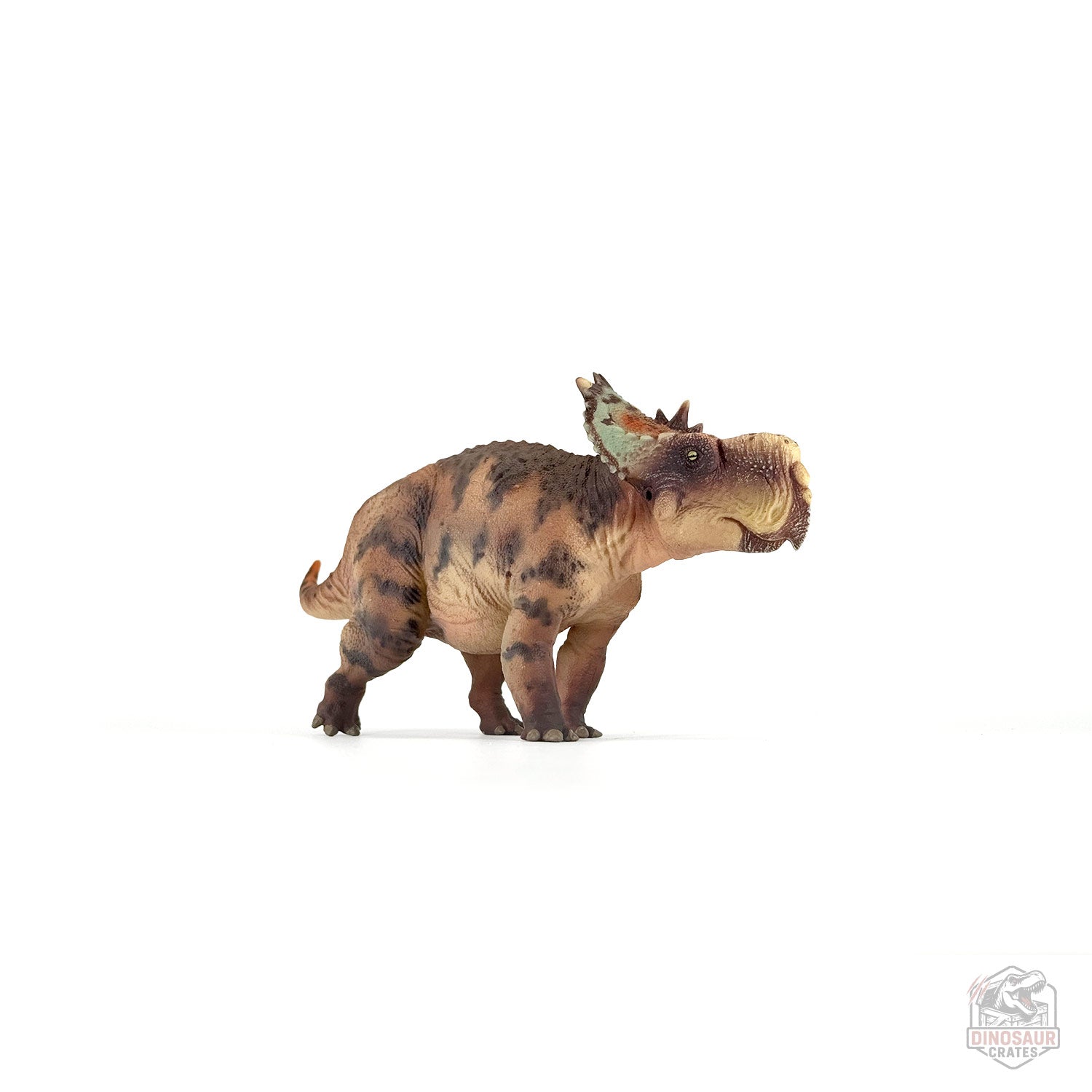 Haolonggood Pachyrhinosaurus Dinosaur Figure