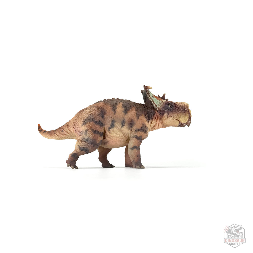 Figurine de dinosaure Haolonggood Pachyrhinosaurus