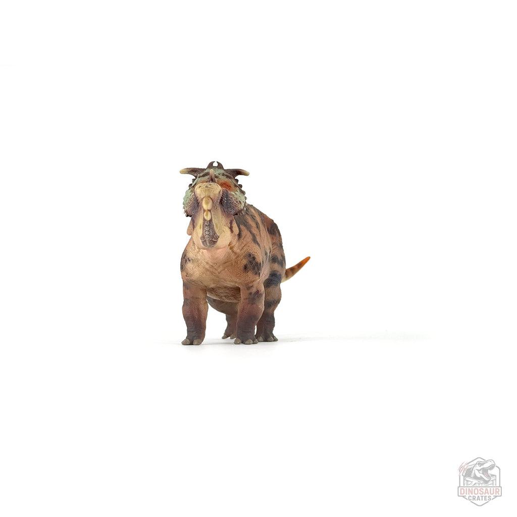 Figurine de dinosaure Haolonggood Pachyrhinosaurus