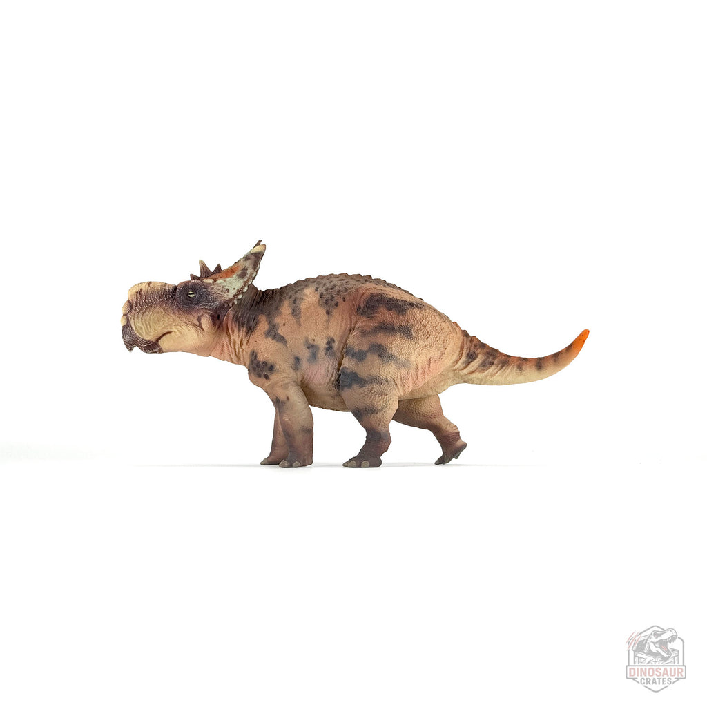 Figurine de dinosaure Haolonggood Pachyrhinosaurus