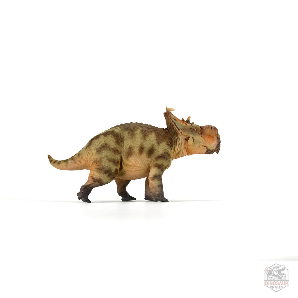 Figurine de dinosaure Haolonggood Pachyrhinosaurus