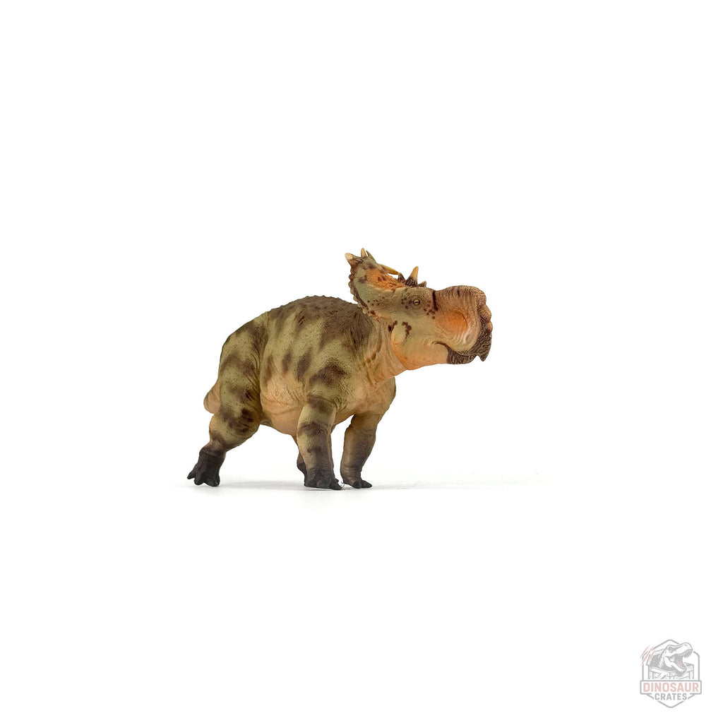 Figurine de dinosaure Haolonggood Pachyrhinosaurus