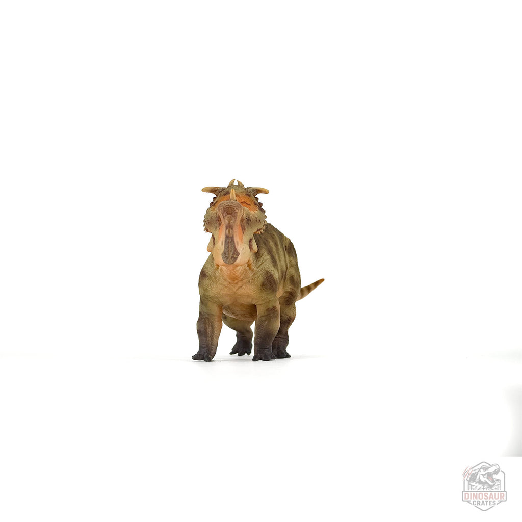 Figurine de dinosaure Haolonggood Pachyrhinosaurus