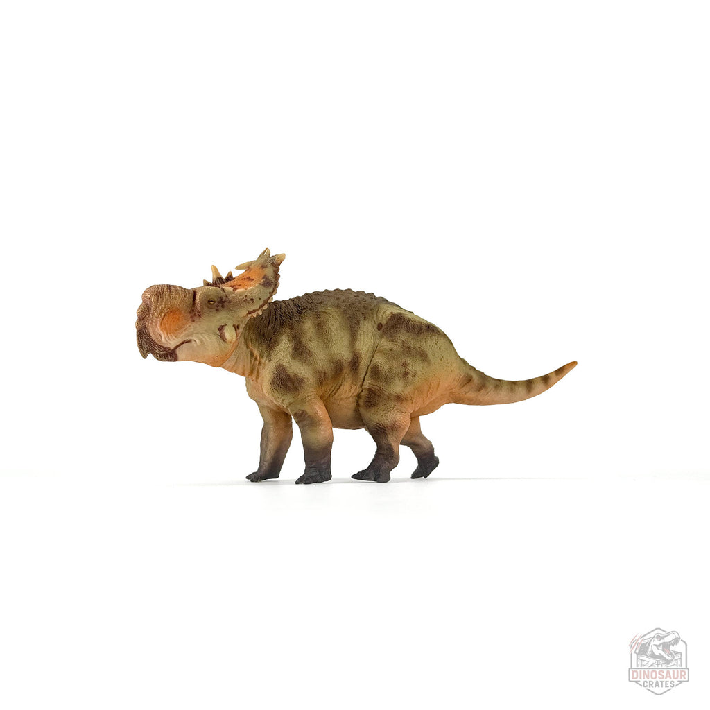 Figurine de dinosaure Haolonggood Pachyrhinosaurus