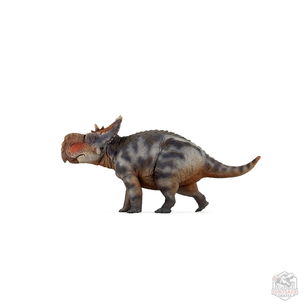 Figurine de dinosaure Haolonggood Pachyrhinosaurus
