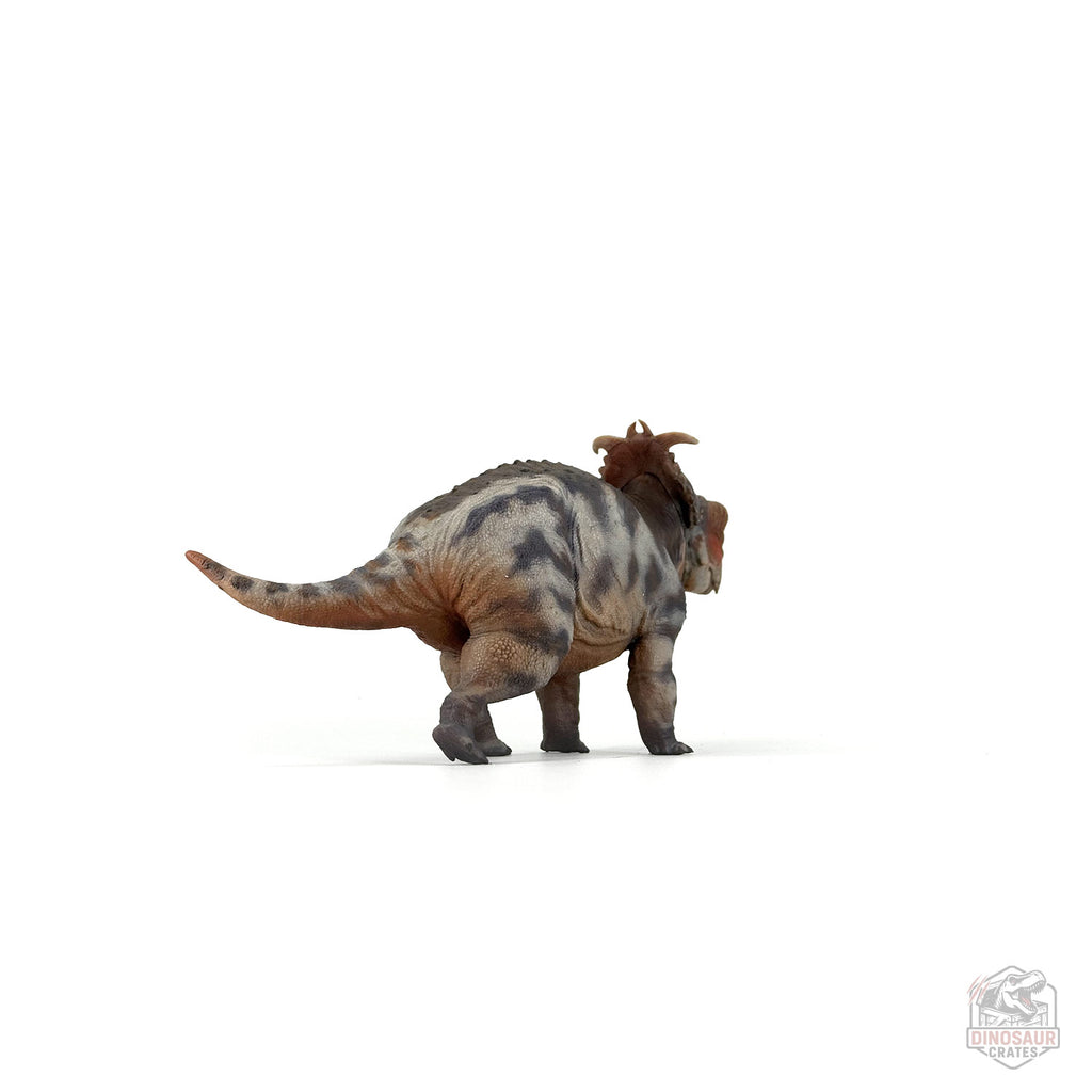 Figurine de dinosaure Haolonggood Pachyrhinosaurus