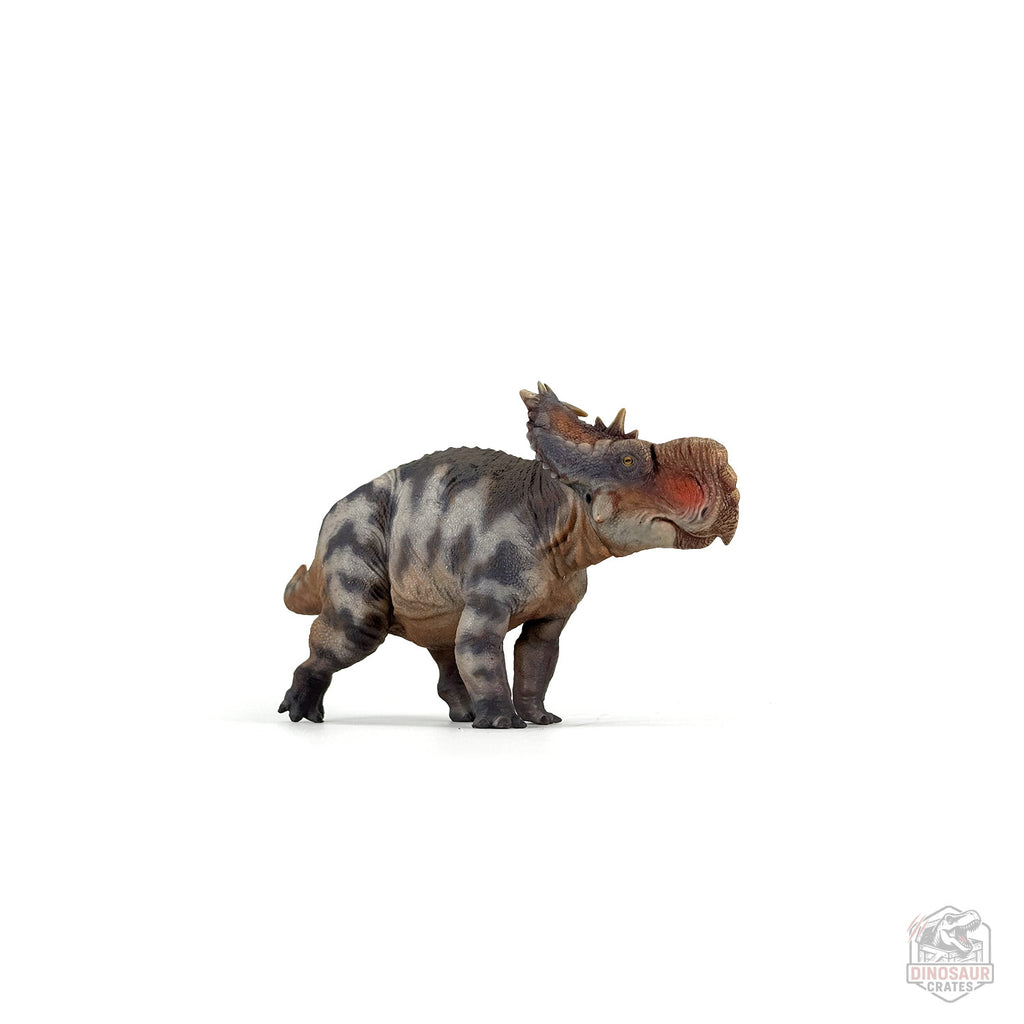 Figurine de dinosaure Haolonggood Pachyrhinosaurus