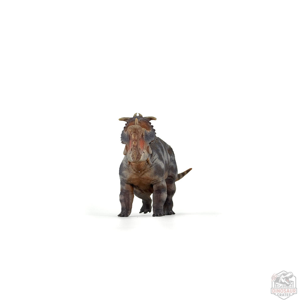 Figurine de dinosaure Haolonggood Pachyrhinosaurus