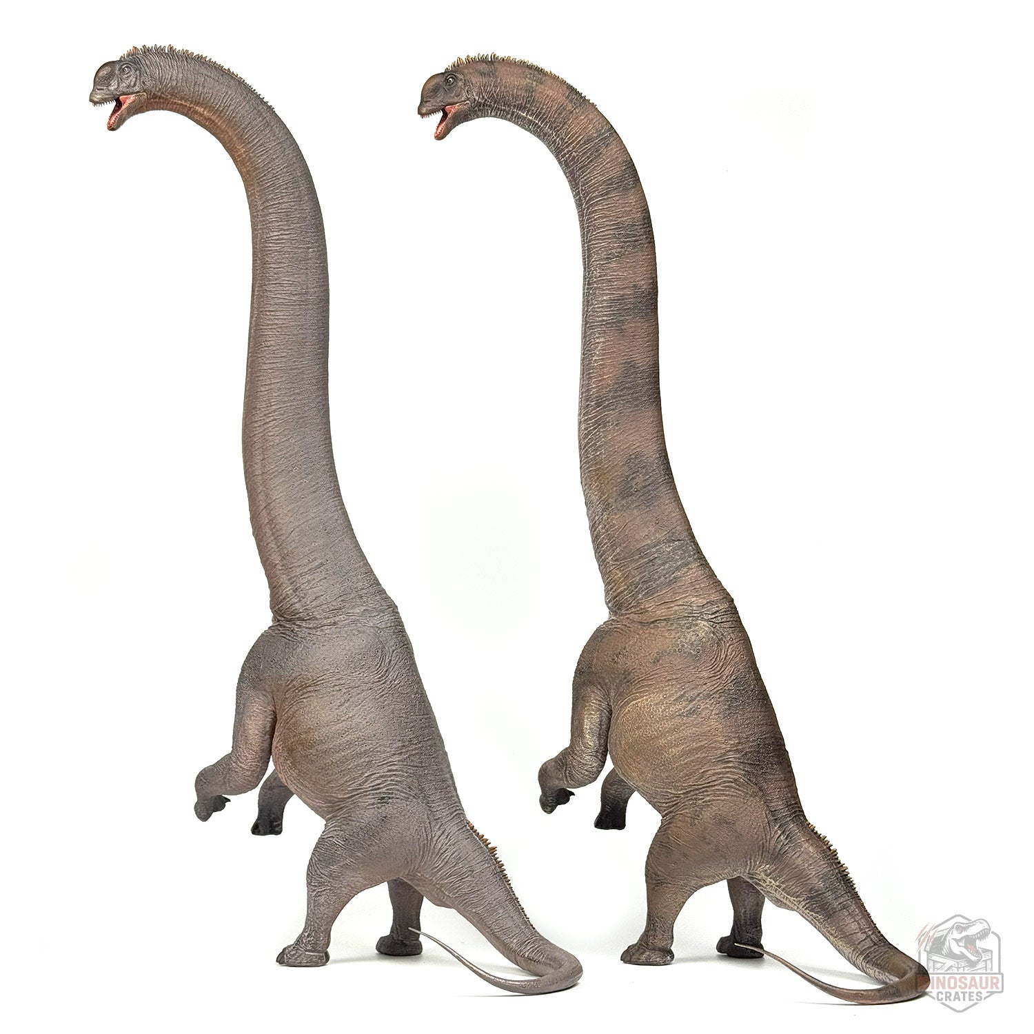 Haolonggood Sauroposeidon Dinosaur Figure