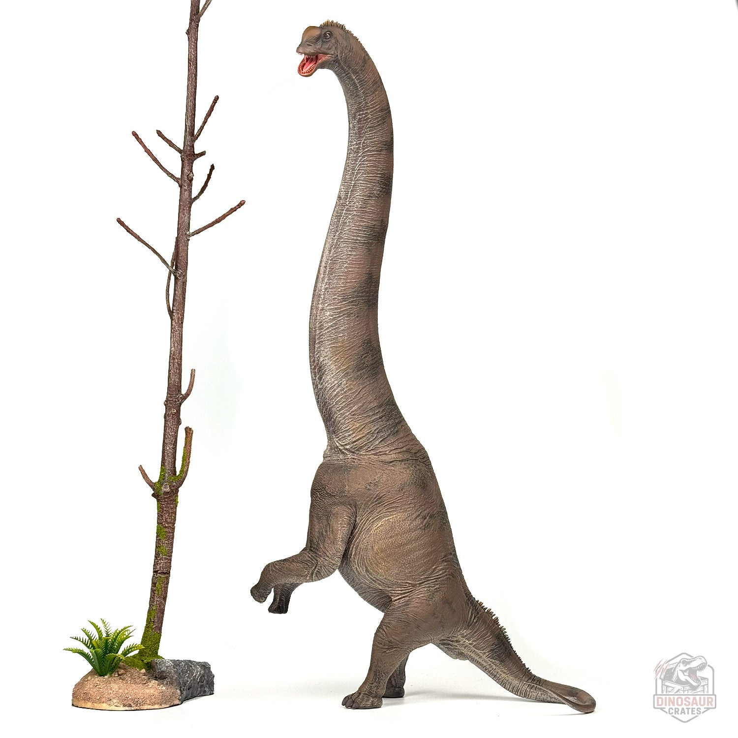 Haolonggood Sauroposeidon Dinosaur Figure