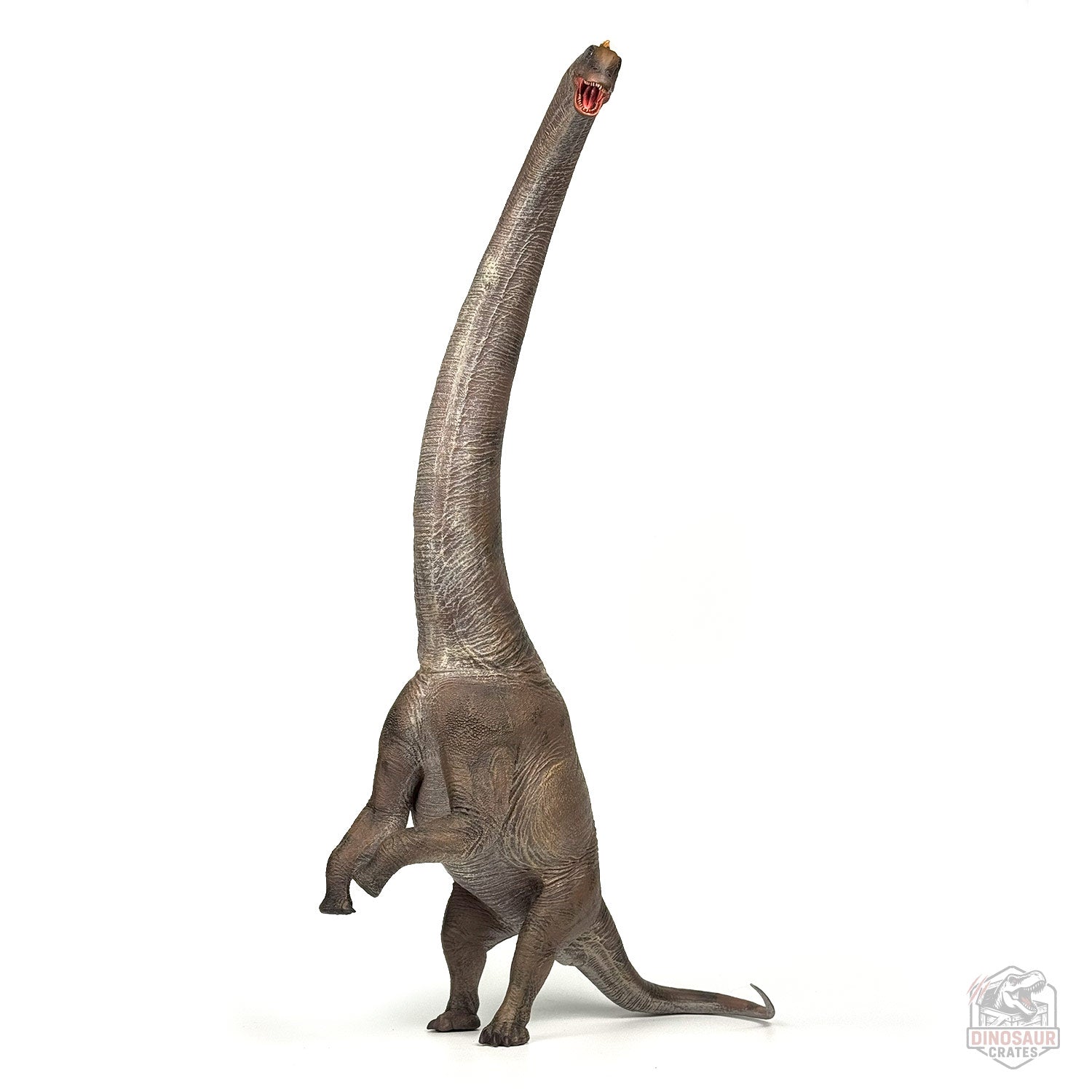 Haolonggood Sauroposeidon Dinosaur Figure