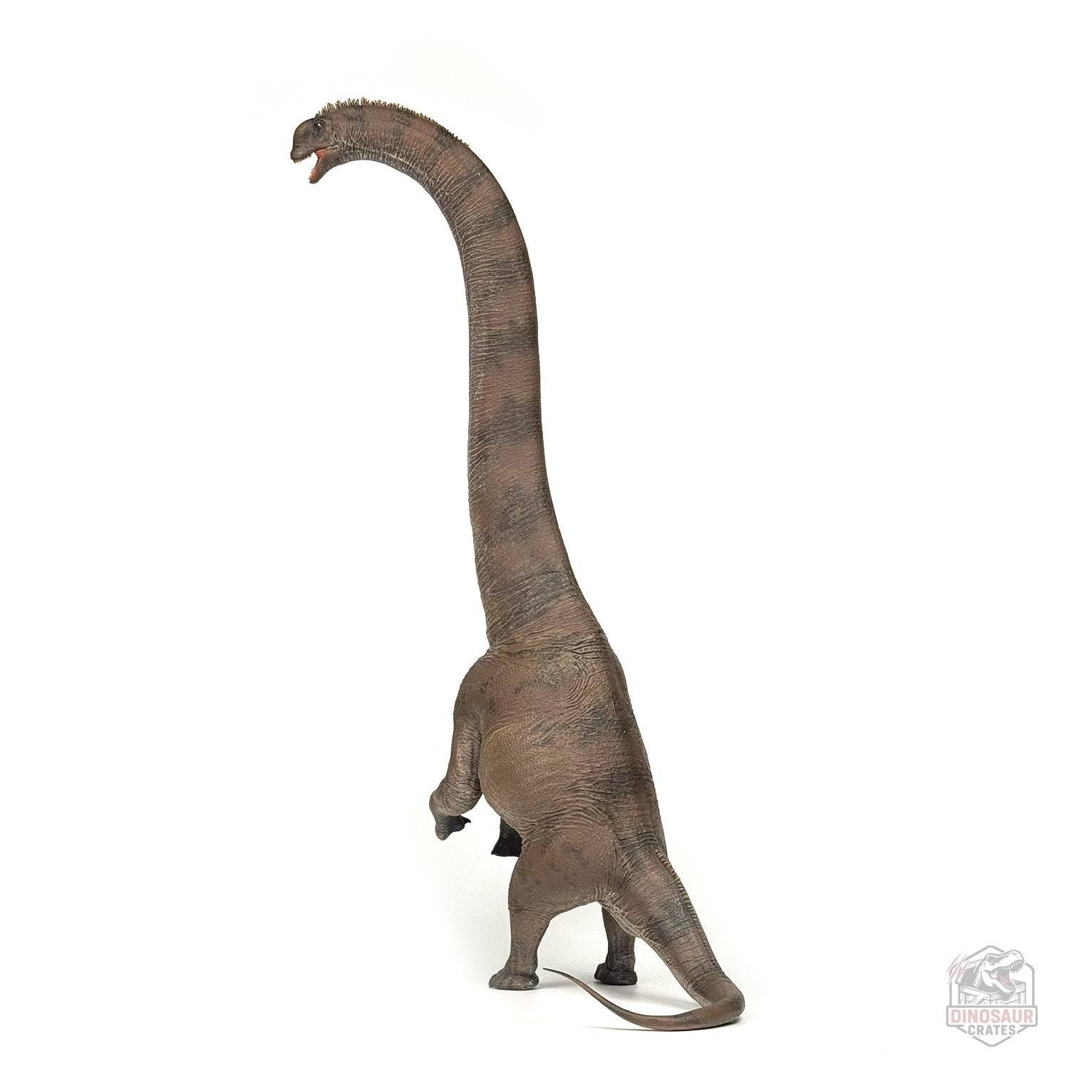 Haolonggood Sauroposeidon Dinosaur Figure