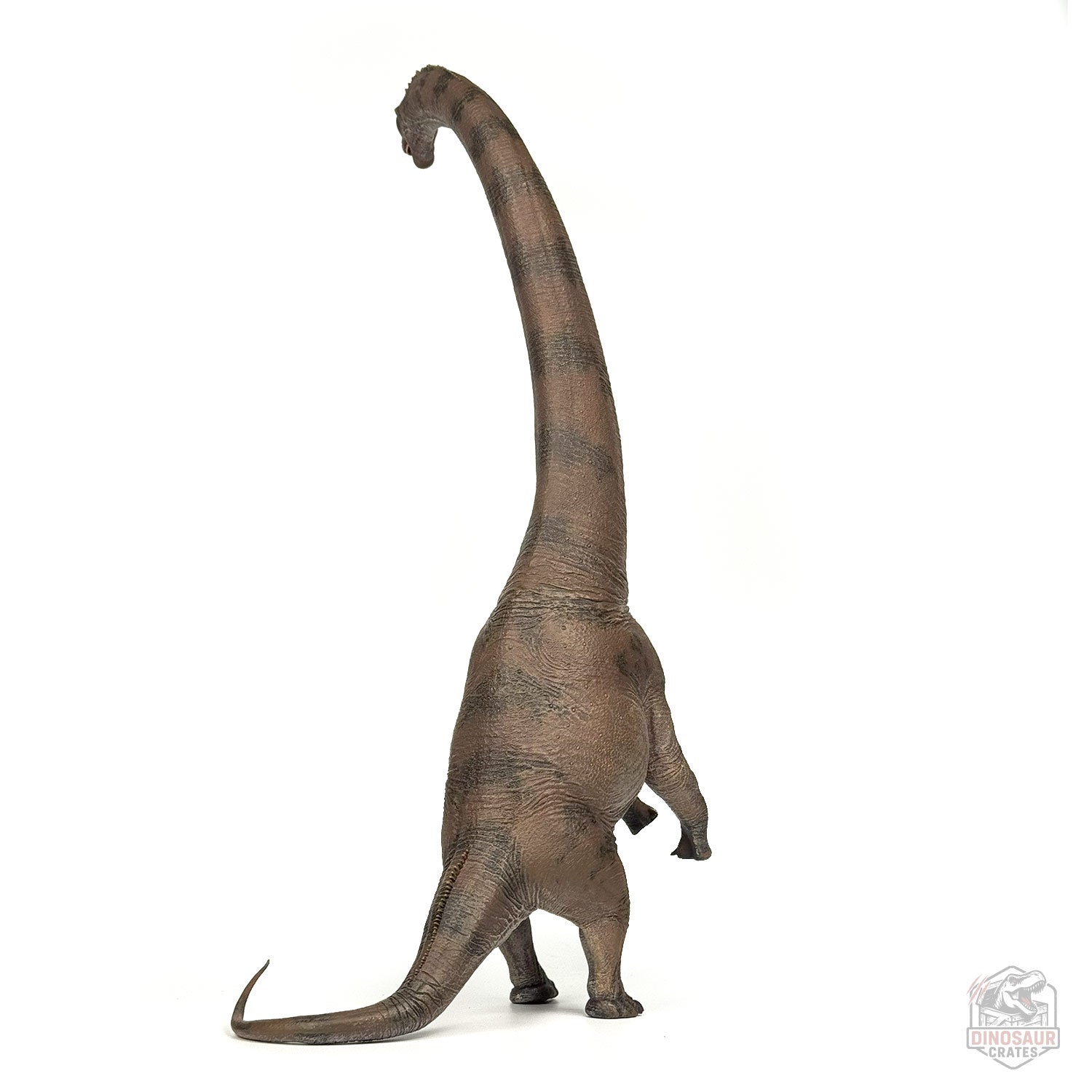 Haolonggood Sauroposeidon Dinosaur Figure