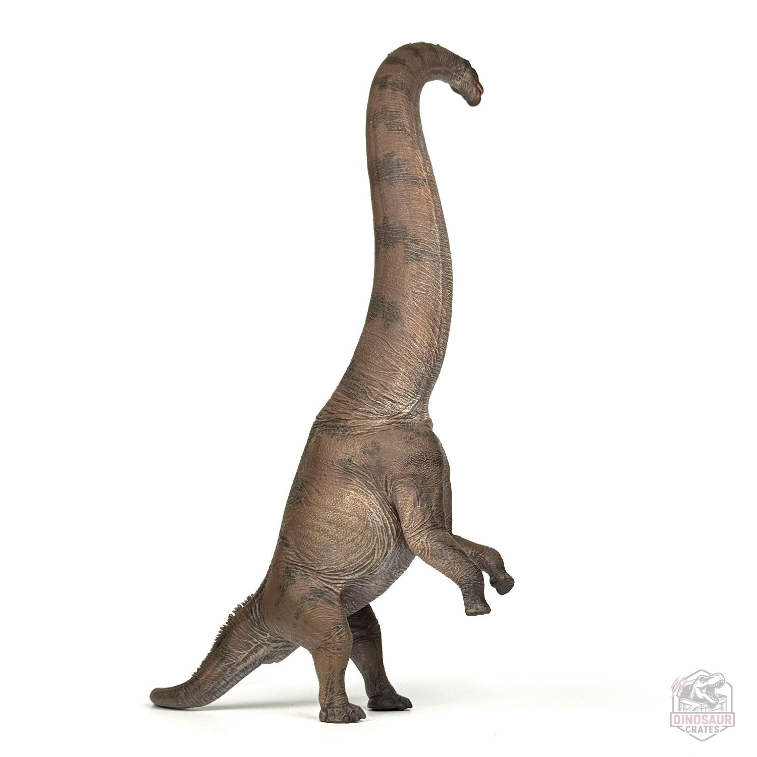 Haolonggood Sauroposeidon Dinosaur Figure