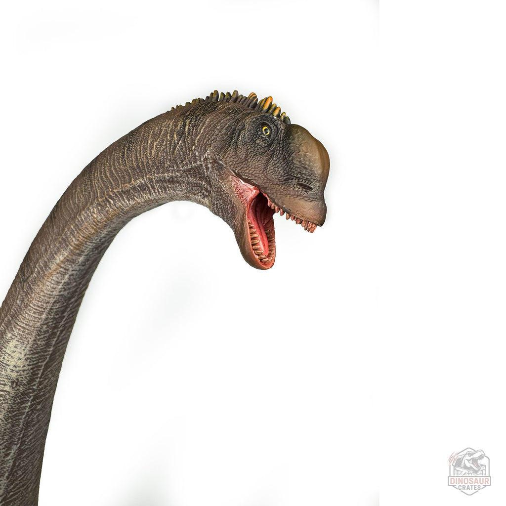 Haolonggood Sauroposeidon Dinosaur Figure