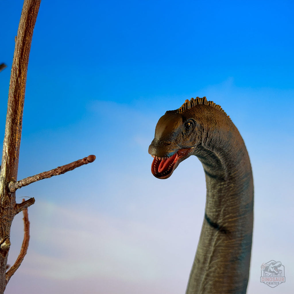 Haolonggood Sauroposeidon Dinosaur Figure