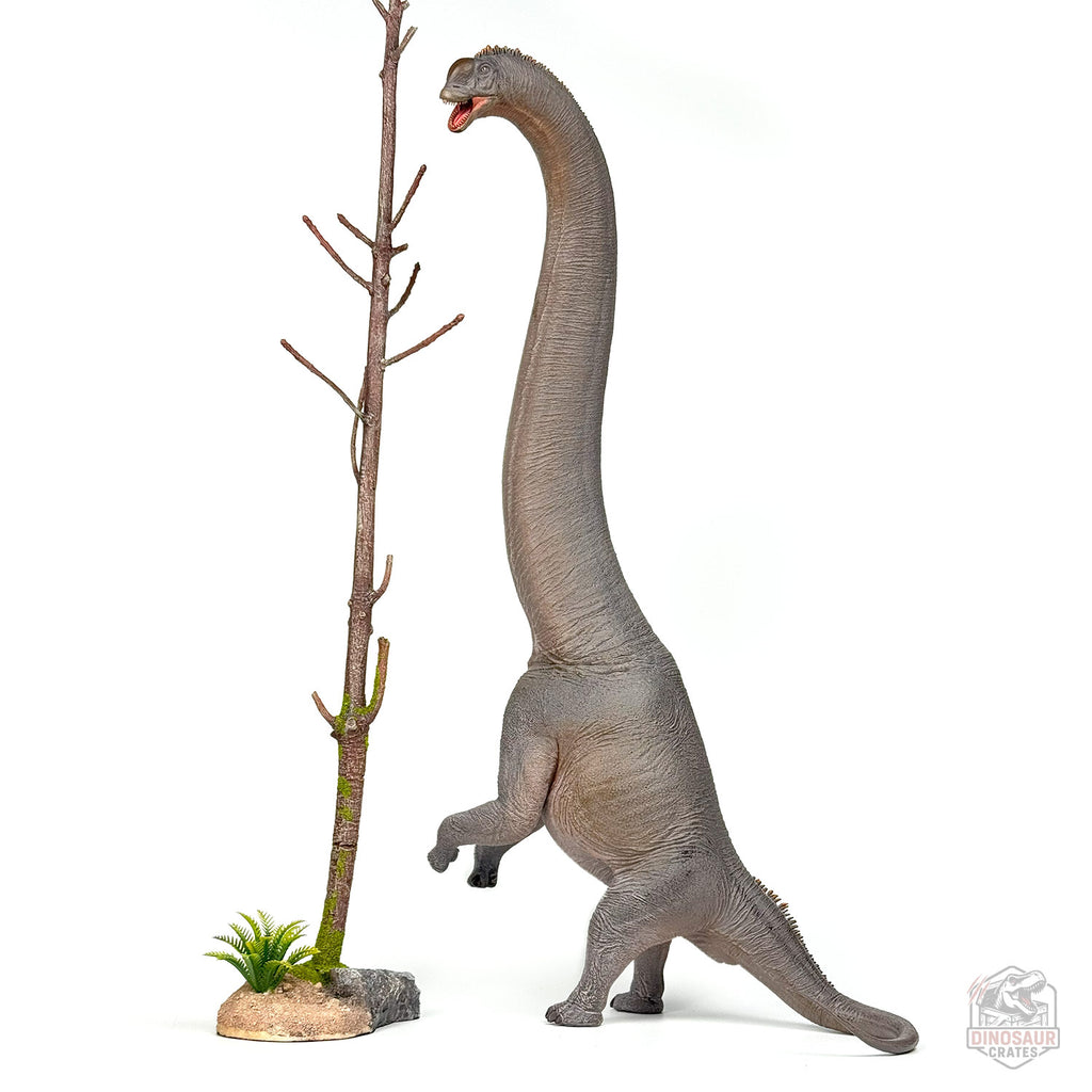 Haolonggood Sauroposeidon Dinosaur Figure