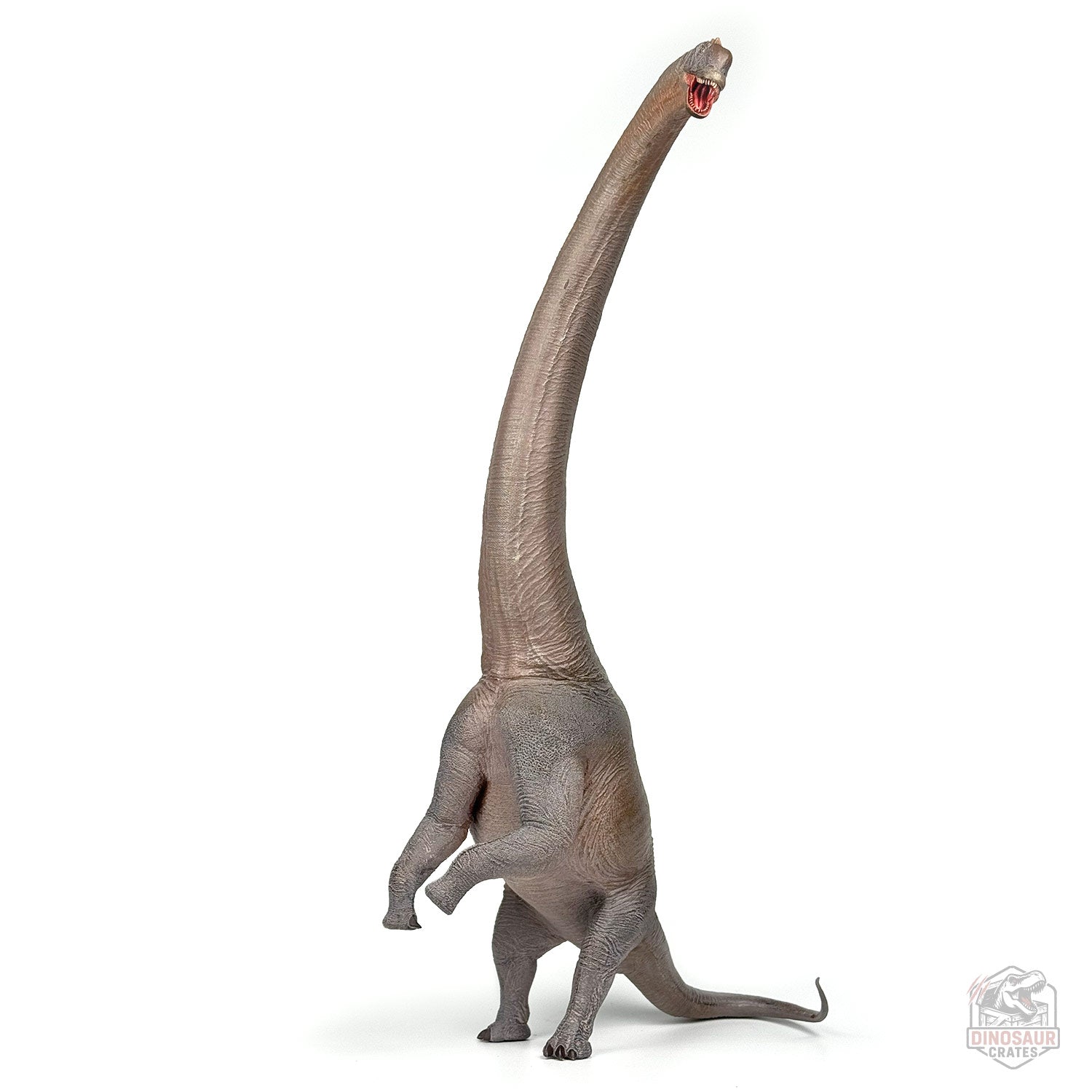 Haolonggood Sauroposeidon Dinosaur Figure