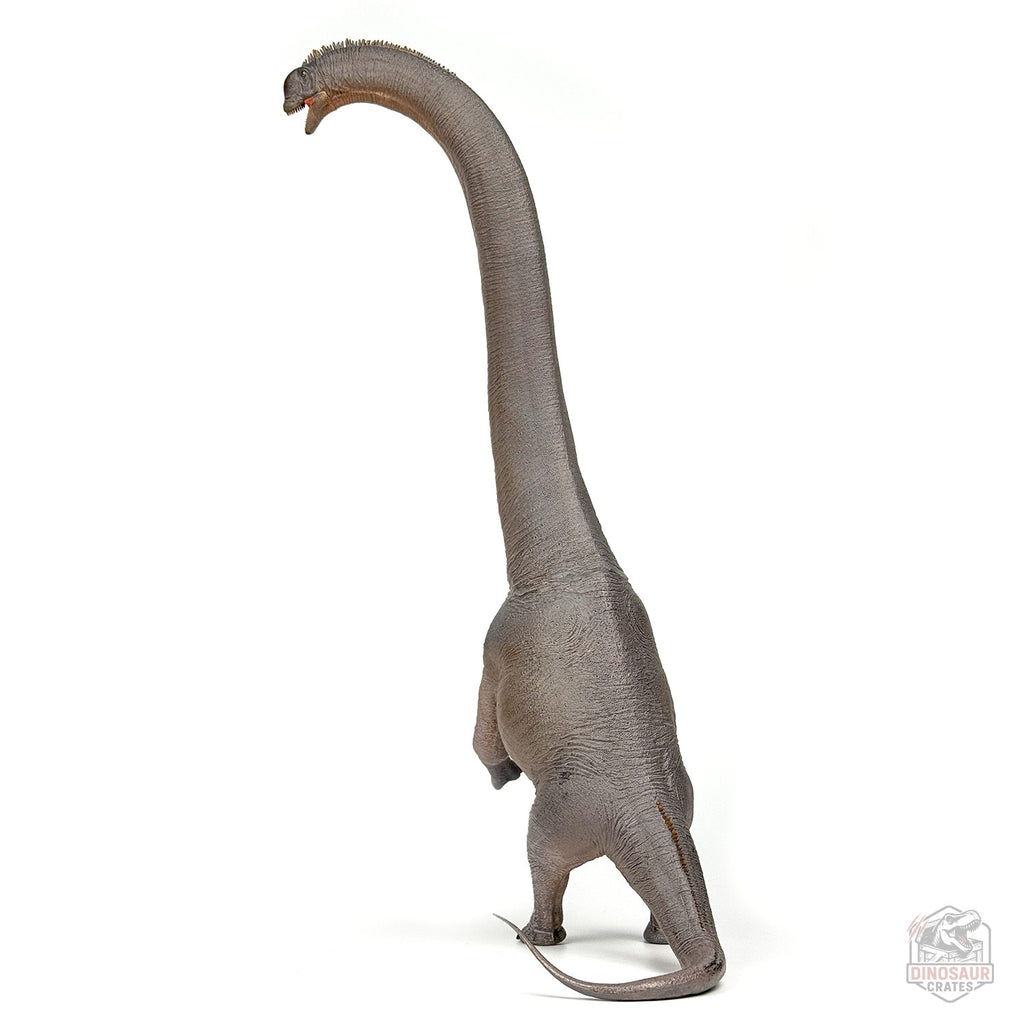Haolonggood Sauroposeidon Dinosaur Figure
