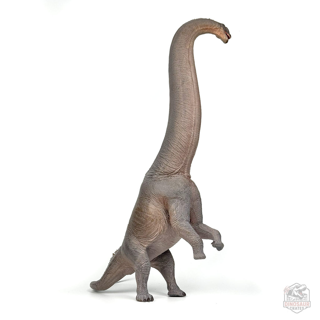 Haolonggood Sauroposeidon Dinosaur Figure