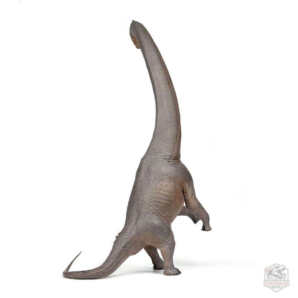 Haolonggood Sauroposeidon Dinosaur Figure