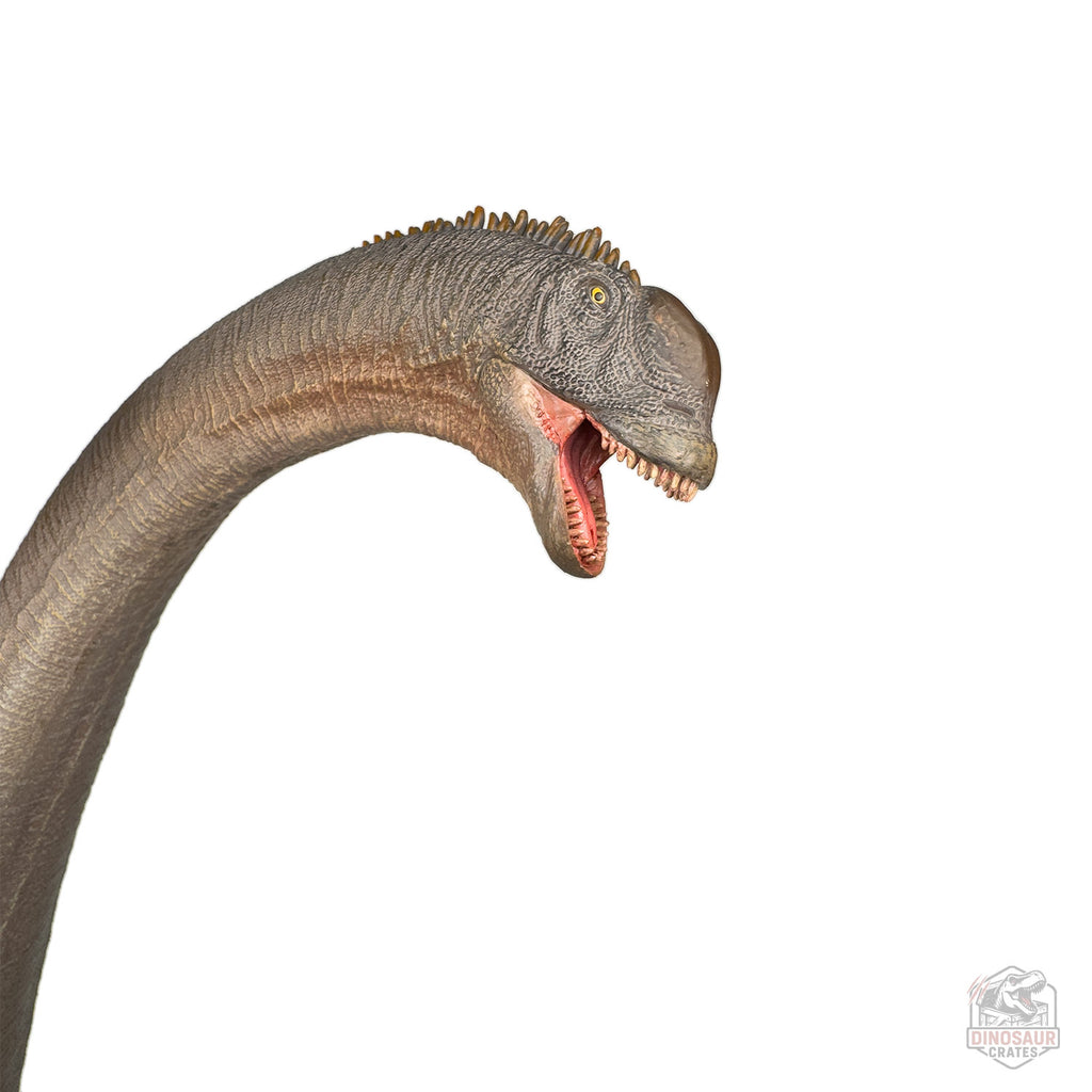 Haolonggood Sauroposeidon Dinosaur Figure