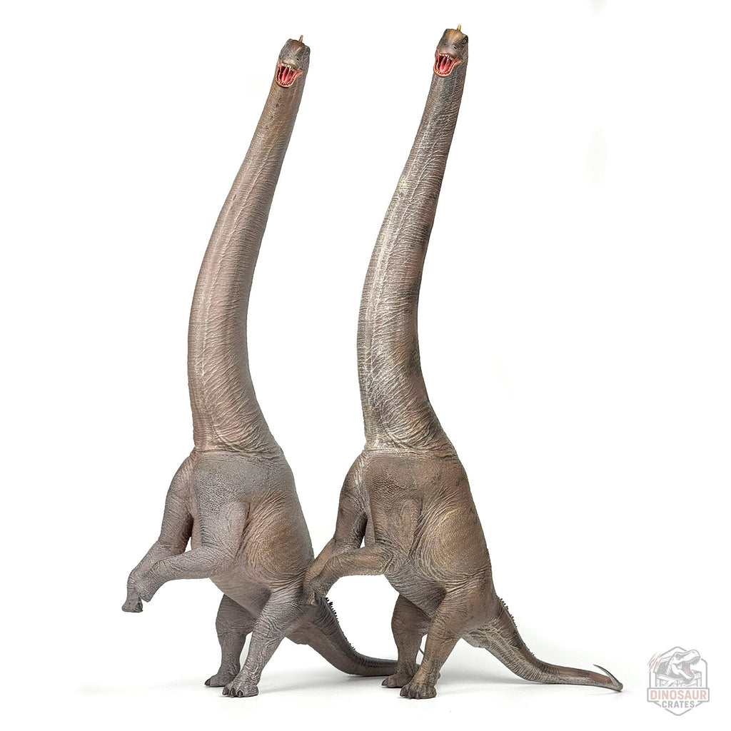 Haolonggood Sauroposeidon Dinosaur Figure