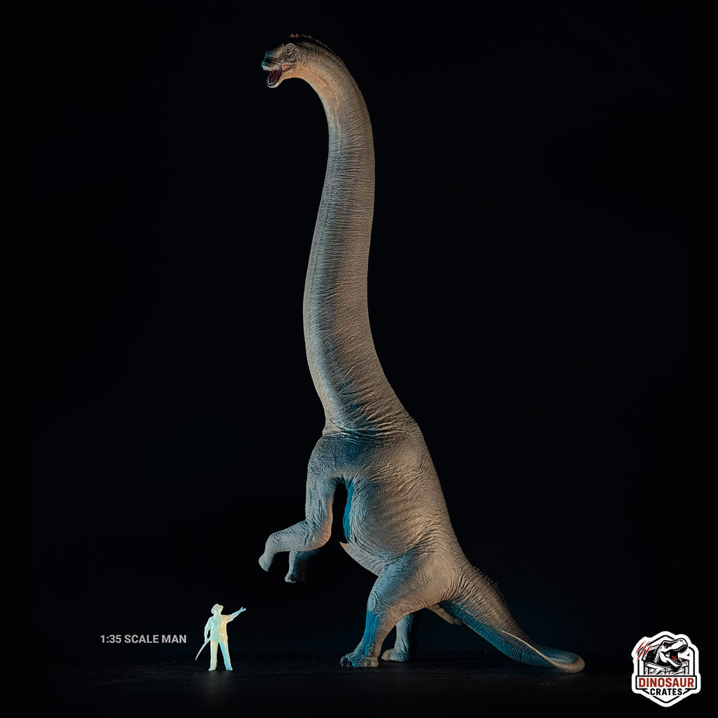 Haolonggood Sauroposeidon Dinosaur Figure