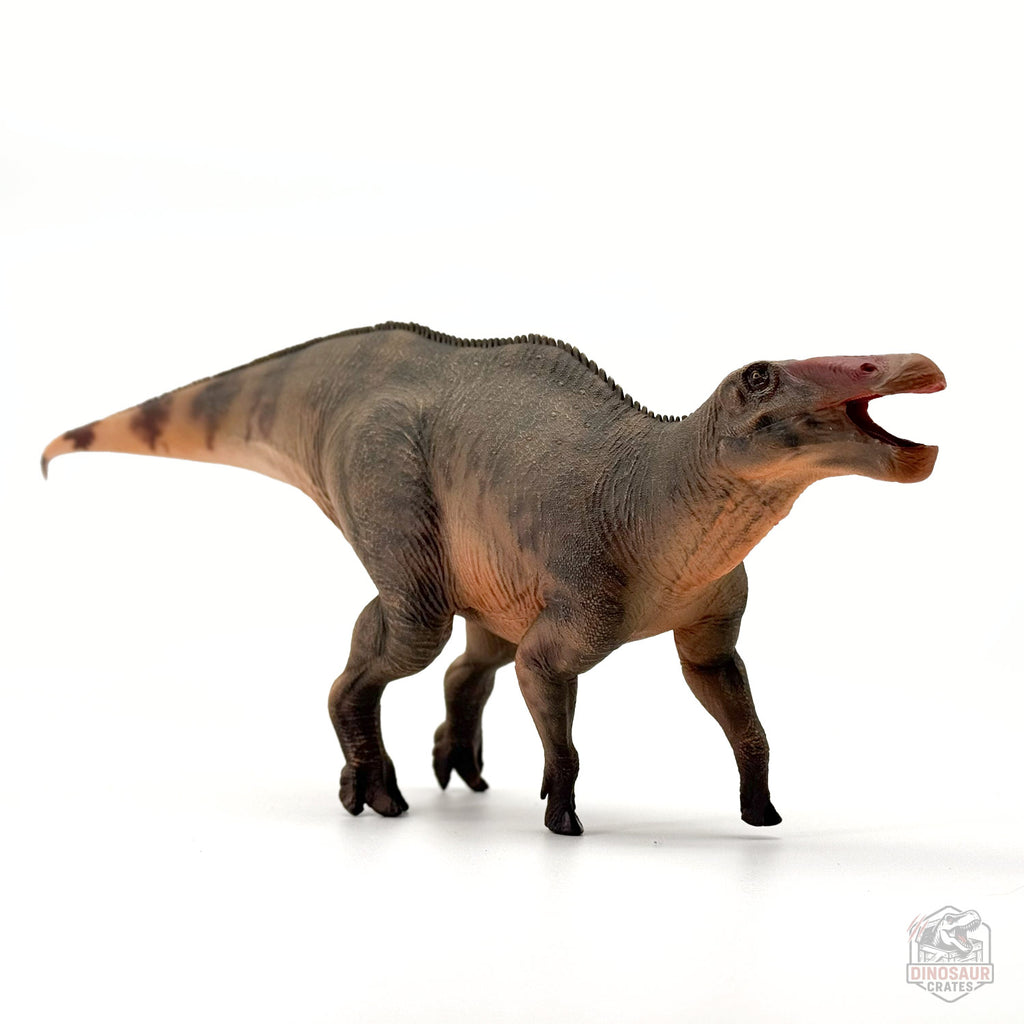 Haolonggood Shantungosaurus Dinosaur Figure