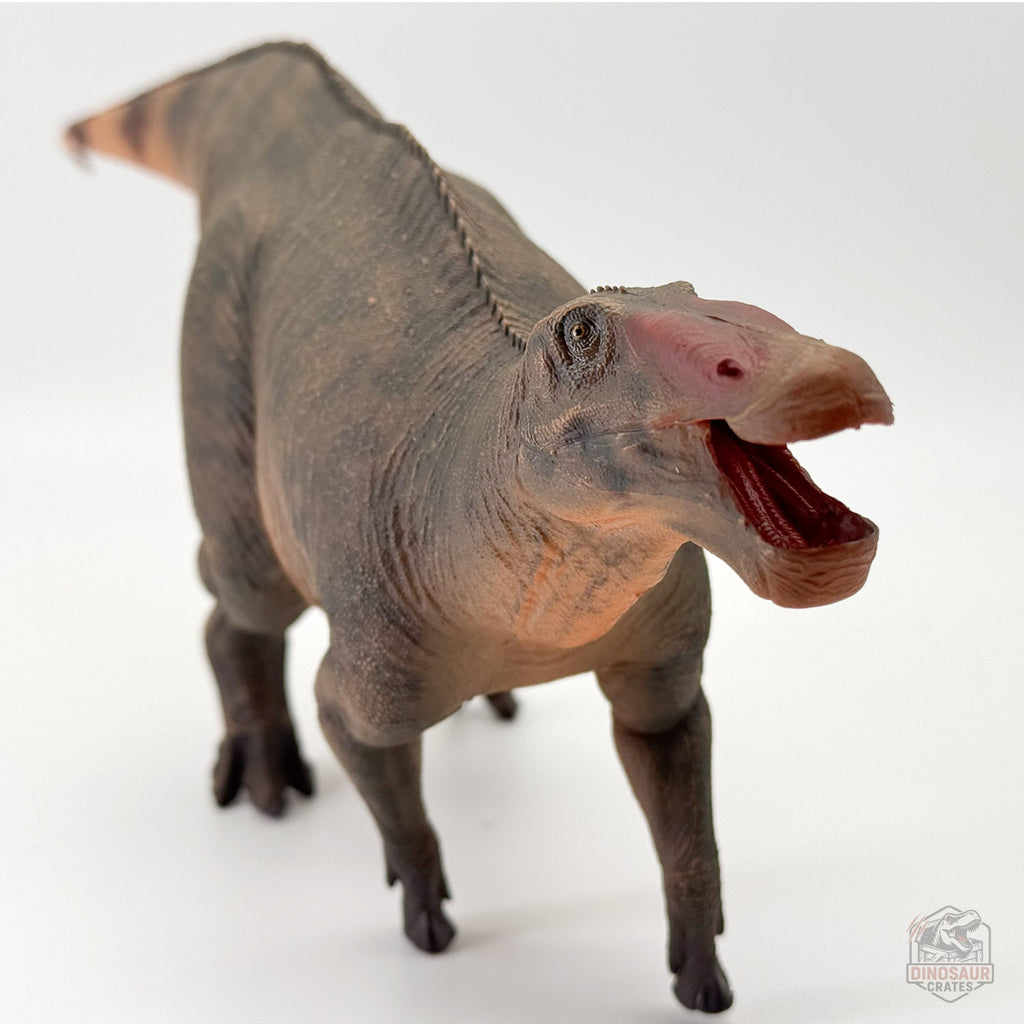Haolonggood Shantungosaurus Dinosaur Figure