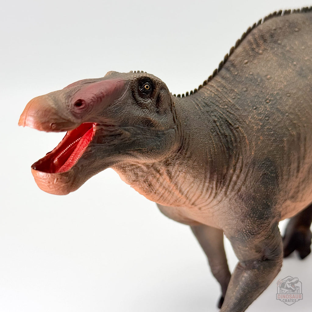 Haolonggood Shantungosaurus Dinosaur Figure