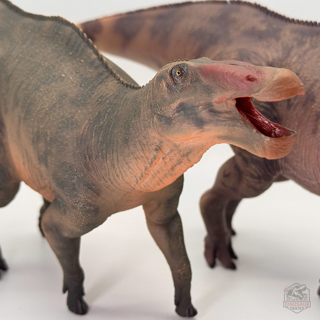 Haolonggood Shantungosaurus Dinosaur Figure