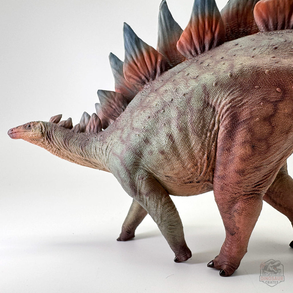 Haolonggood Stegosaurus Dinosaur Figure