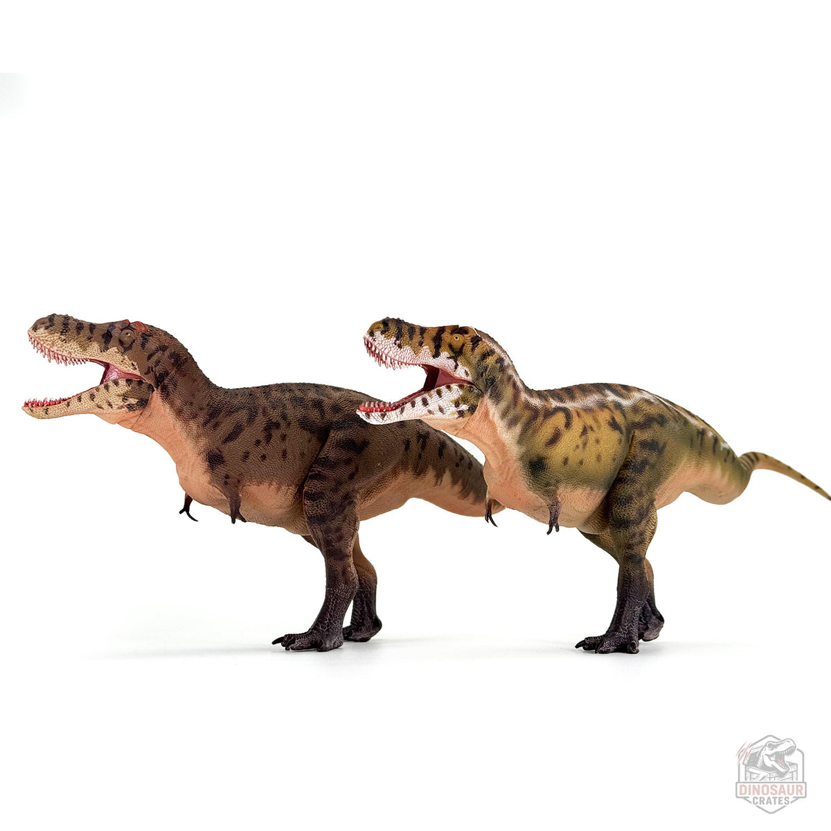Haolonggood Tarbosaurus Dinosaur Figure