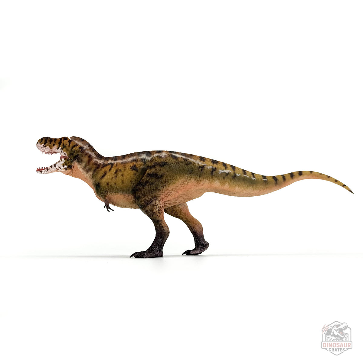 Haolonggood Tarbosaurus Dinosaur Figure