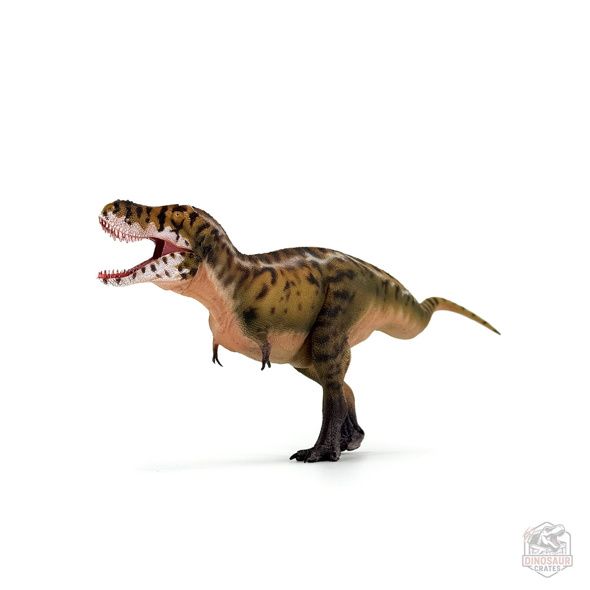 Haolonggood Tarbosaurus Dinosaur Figure