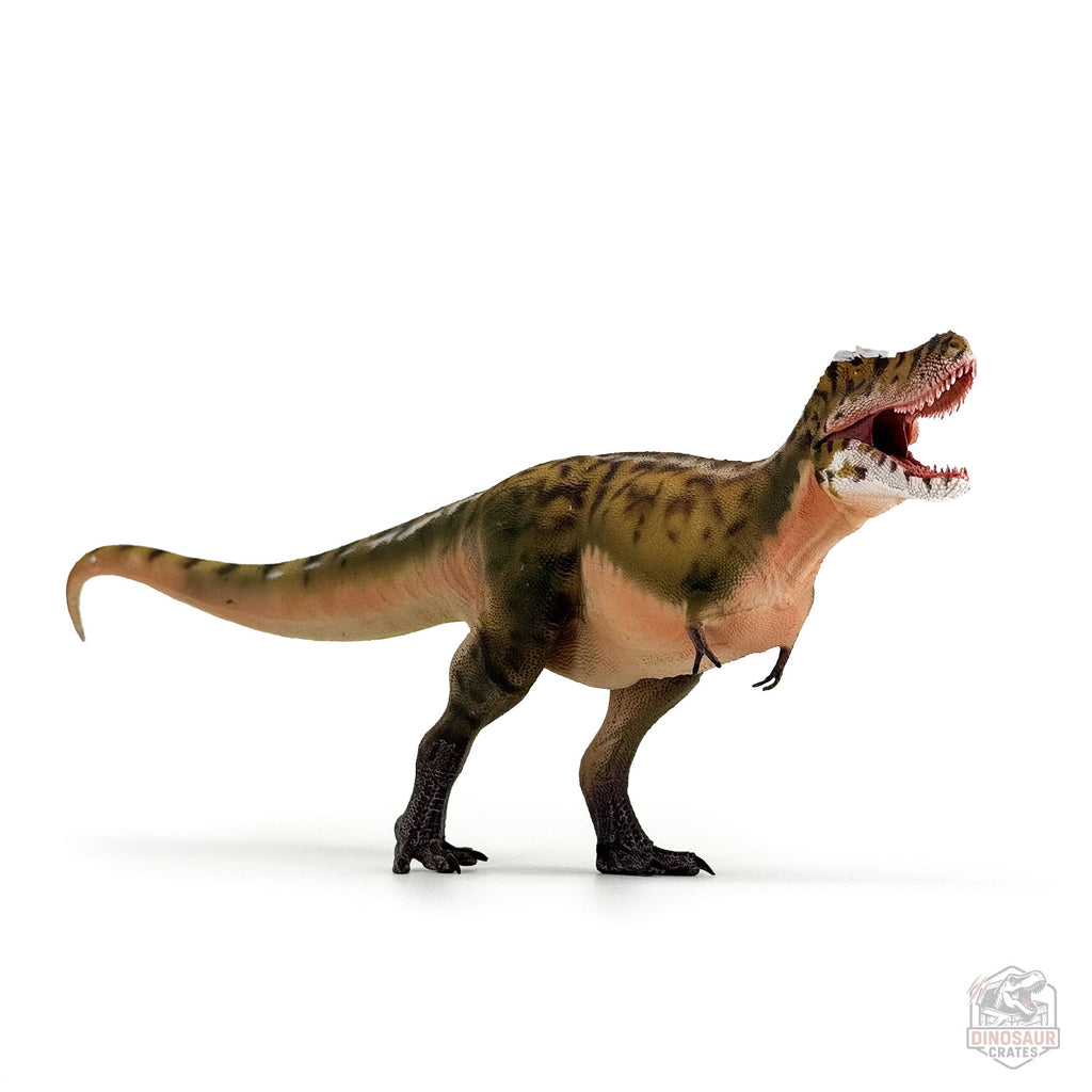 Figurine de dinosaure Tarbosaurus Haolonggood (PRÉCOMMANDE)