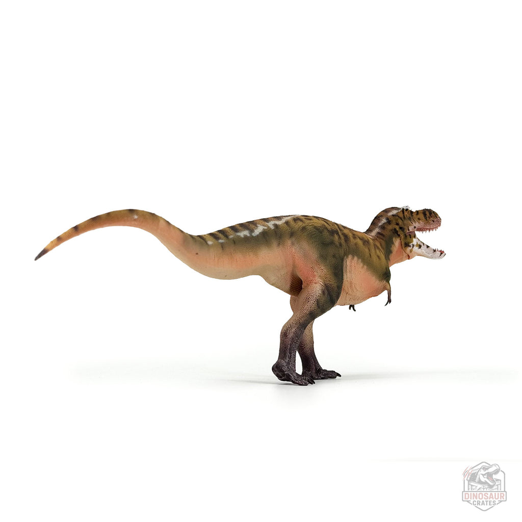 Figurine de dinosaure Tarbosaurus Haolonggood (PRÉCOMMANDE)