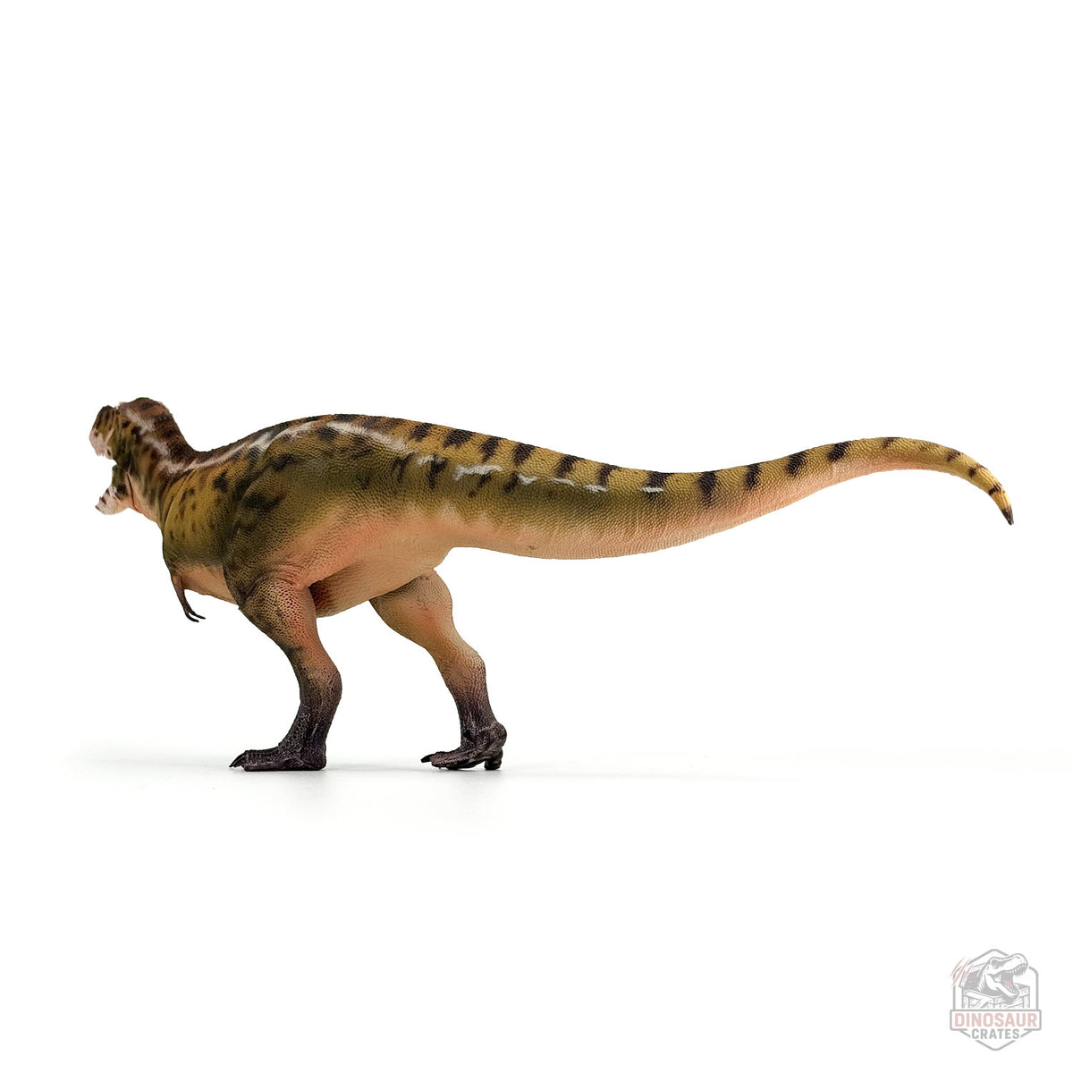 Haolonggood Tarbosaurus Dinosaur Figure